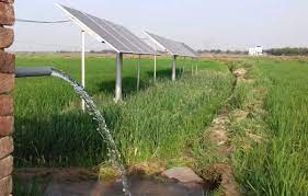 Revolutionizing African Agriculture with Innovative Irrigation Techniques