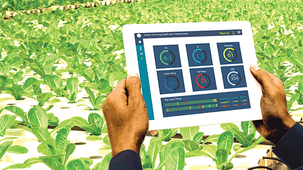 Leveraging Technology for Sustainable Farming in Nigeria